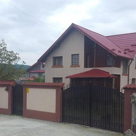 Vila De Vacanta Curtea De Arges Exterior photo